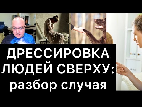 Видео: ДРЕССИРОВКА ЛЮДЕЙ СВЕРХУ: разбор случая