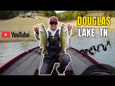 Видео: Ловля окуня на озере Дуглас, 24 октября 2025 г.