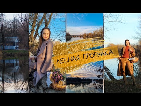 Видео: ЛЕСНАЯ ПРОГУЛКА🍁🌲| отдых в кругу близких людей