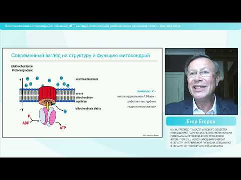 Видео: Бесплатный вебинар "Восстановление митохондрий с помощью ИГТ"