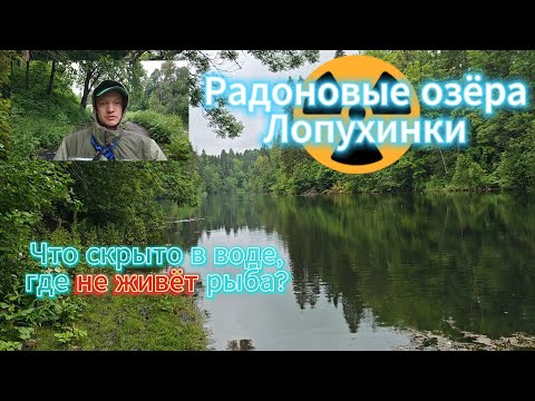 Видео: Радоновые источники Ленобласти: что скрывают озёра, где не живёт рыба