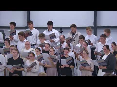 Видео: Поміж тьмою та світлом 