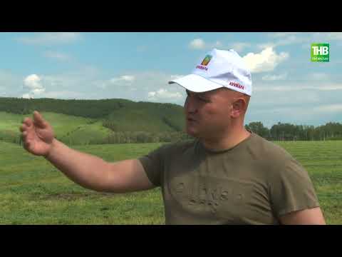 Видео: Туган җир 14/06/24