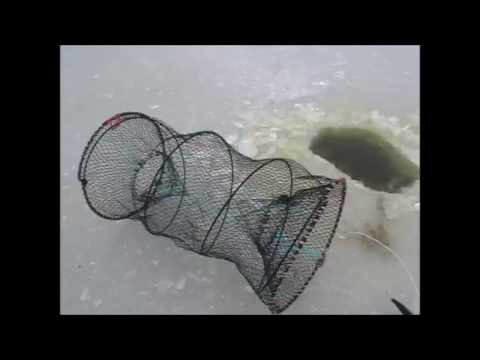 Видео: Как поймать зимой живца (Будни охотника и рыбака)