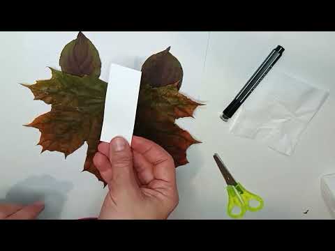Видео: КЗДО "Яковлівський дитячий садок". Аплікація з листя "Вовк"