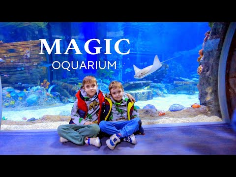 Видео: Ташкент. Океанариум в Magic city