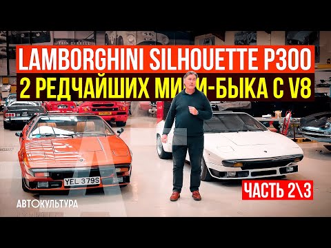 Видео: Lamborghini Silhouette P300. 2 редчайших мини-быка с V8! Часть 2\3 | Tyrrell's Classic Workshop