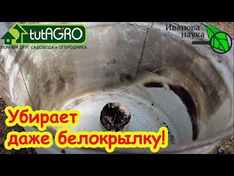 Видео: НЕ ИСПОЛЬЗУЙТЕ СЕРНУЮ ШАШКУ В ТЕПЛИЦЕ, если не знаете этого! Серная и табачная шашки в теплице.