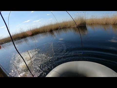 Видео: рыбалка на паук подъёмник сазаны монстры рекомендую посмотреть