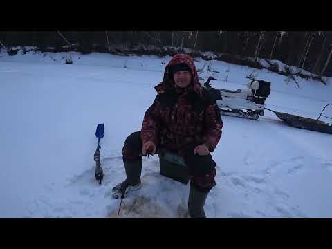 Видео: закрываем снегоходный сезон.в избушку с ночевкой. 11.04.25 г.