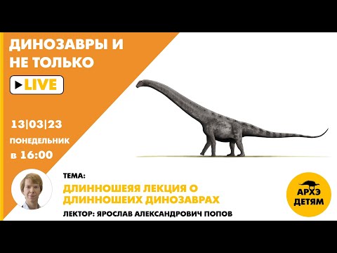 Видео: Занятие "Длинношеяя лекция о длинношеих динозаврах" кружка Динозавры и не только с Ярославом Поповым