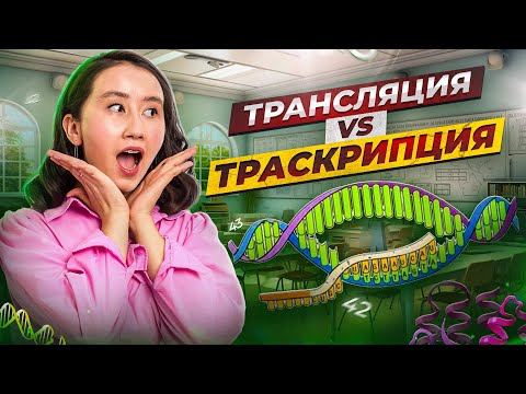 Видео: Трансляция vs Траскрипция | ҰБТ Биология 2024