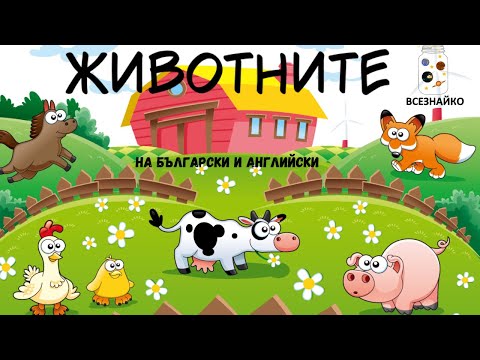 Видео: Животните в градината. Как правят те и как ги наричаме?