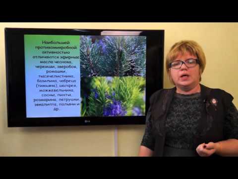 Видео: Жирнова Д.Ф. Химический состав растений. Терпеноиды