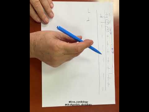 Видео: Биофизические основы ЭКГ