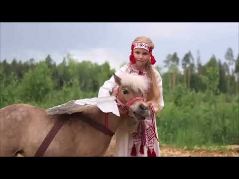 Видео: Конный Театр Ларисы Луста.