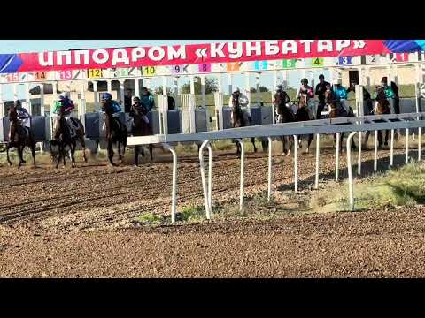 Видео: Скачки в Кунбатаре 27.09.2025 Скачка приза в Честь Герой Мо 2400 м Кунбатарское Дерби 