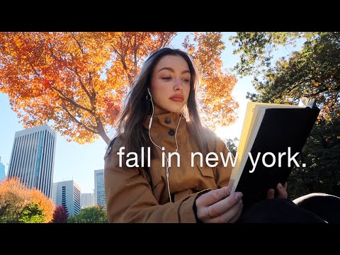 Видео: уютный осенний день в Нью-Йорке ☕️