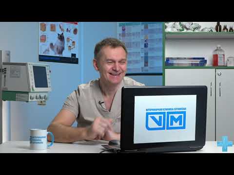 Видео: Гамавит вопросы и ответы