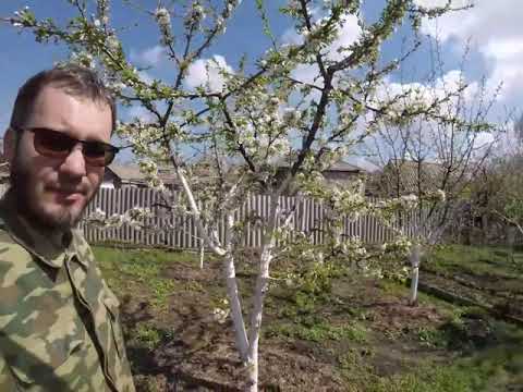 Видео: Грядки по Зеппу Хольцеру-годовой опыт на юге