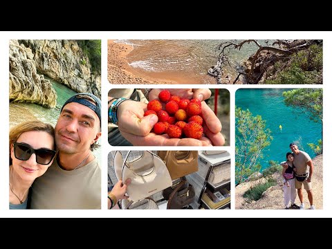Видео: Побережье Коста Брава Испания 😍 Плоды Земляничного Дерева 🤩 Аутлет La Roca Village 🛍️Влог 23.10.2024