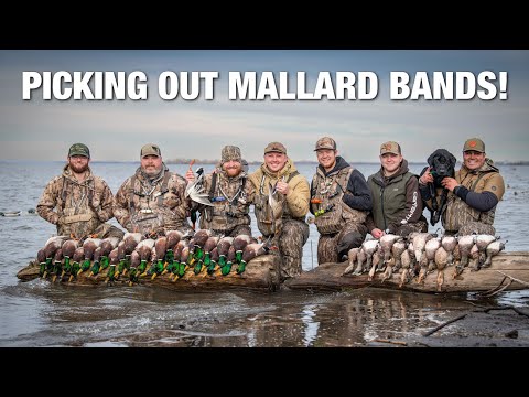 Видео: 7 ОГРАНИЧЕНИЙ И 2 КОЛЕСА КРЮКОВЫХ ПОЛЕТОВ после объединения с другой группой у лодочного спуска!!