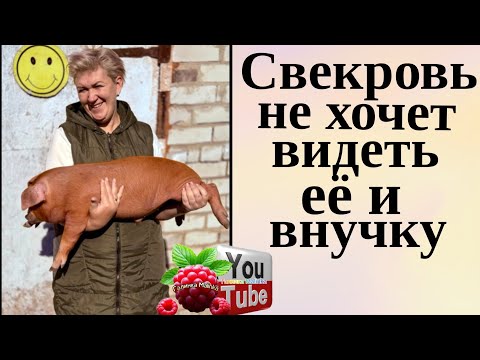 Видео: Деревенский дневник /Ревнует Гришу/ Ее бросили /Обзор /Мать-героиня /Леля Побируха /Ольга Быкова 