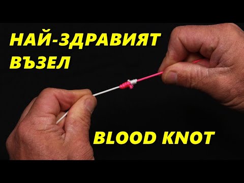 Видео: КАК да СЪЕДИНИМ ДВЕ ВЛАКНА ЕДНО към ДРУГО ? Най-ДОБРИЯТ възел BLOOD KNOT