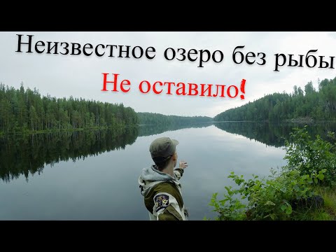 Видео: За Щукой на Дальнее Дикое Озеро! UHD