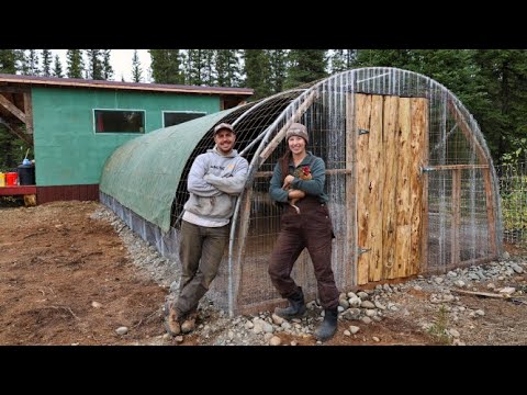 Видео: От высокого туннеля до курятника | Работаем до наступления зимы