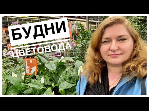 Видео: Будни цветовода | ОБИ Мега Дыбенко | 27.05.2022г.