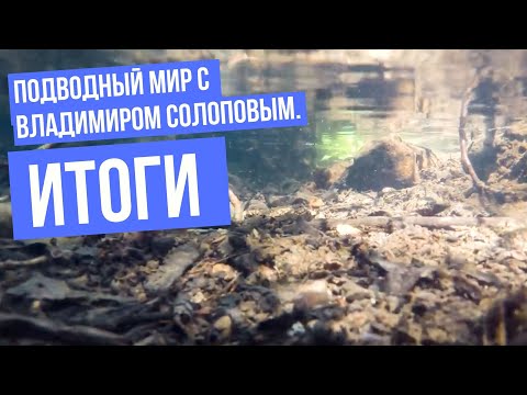 Видео: Итоги \ Подводный мир с Владимиром Солоповым