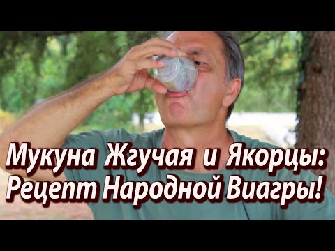 Видео: Антидепрессант и Афродизиак в Одном Рецепте: Попробуйте Сейчас!