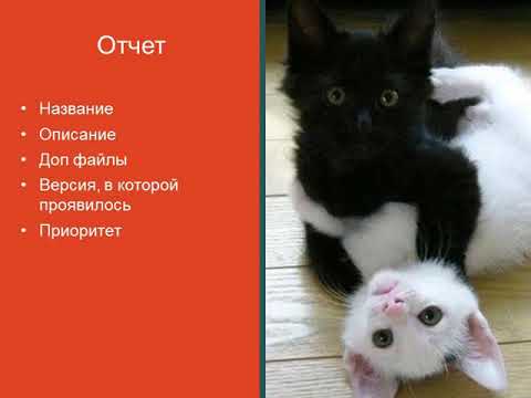 Видео: Баг-трекинг 3.5: Оформление