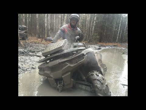 Видео: ТЕСТ ГЕПАРДА