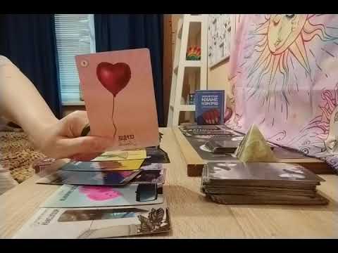 Видео: Наисвежайшие животрепещущие  сплетни за вашей спиной 💫👀👄