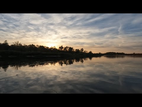 Видео: Рыбалка на реке Дон. Дуплет Судак + Щука.