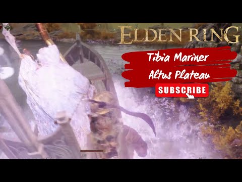Видео: #103 Прохождение Лодочника Тибия Плато Альтус Elden Ring | Tibia Mariner Altus Plateau Boss fight