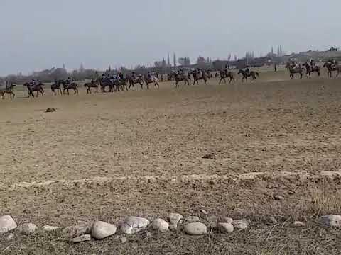 Видео: ОРТО-АРЫК айылы