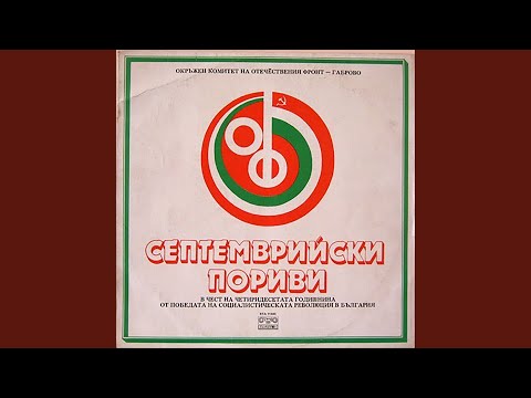 Видео: Песен за Митко Палаузов