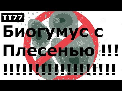 Видео: ТТ77 Биогумус с Плесенью и Запахом