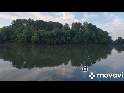 Видео: Рыбалка на реке Кубань