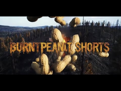 Видео: BurntPeanut: САМЫЕ СМЕШНЫЕ МОМЕНТЫ #20 | Короткометражки