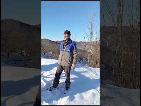 Видео: Тазен кала