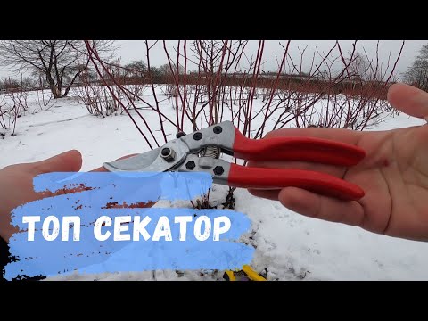 Видео: Лучший секатор