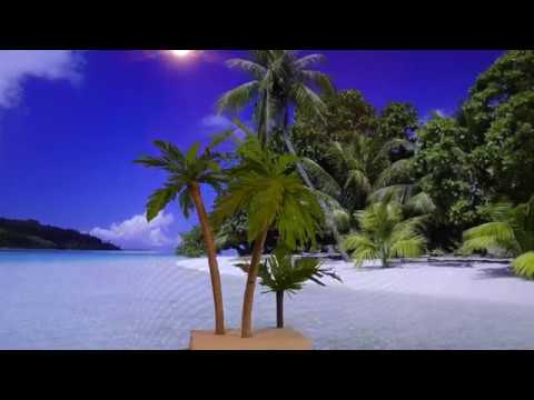 Видео: Как сделать пальму за пять минут