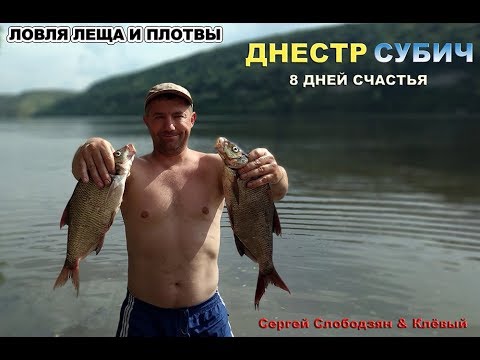 Видео: Днестр. Субич. Ловля леща и плотвы.