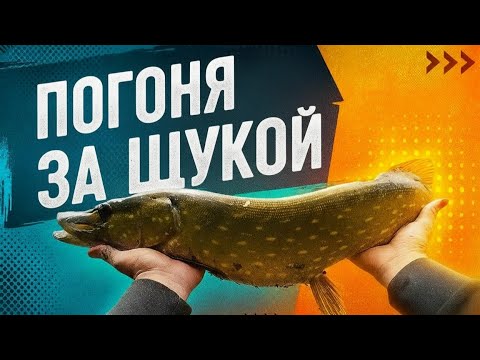 Видео: Поимка ЩУКИ в новом месте,моя рыболовня экспедиция!!!