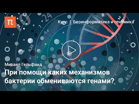 Видео: Горизонтальный перенос генов — Михаил Гельфанд