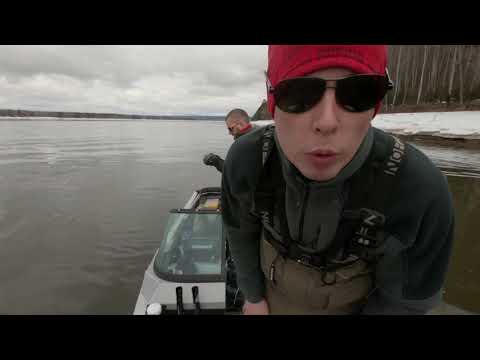 Видео: Злющие щуки Енисея